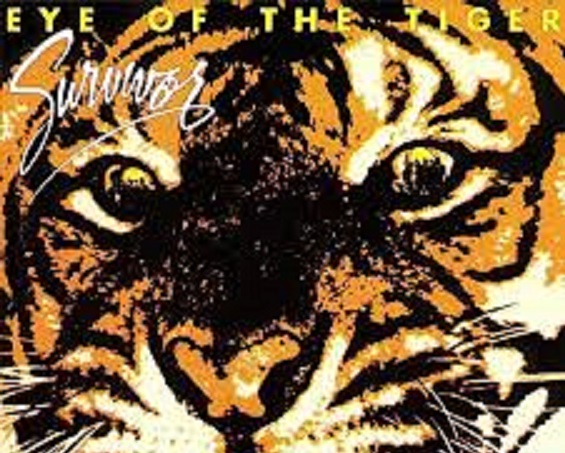 Acing a Survivor Tournament