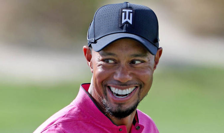 DFS PGA PLAYBOOK - HERO WORLD CHALLENGE